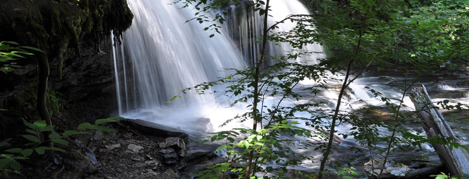 在线短信验证码接收