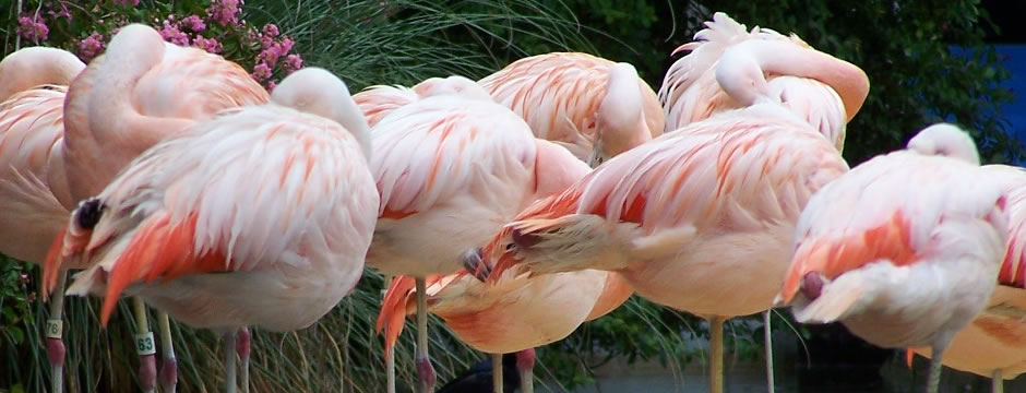 在线短信验证码接收